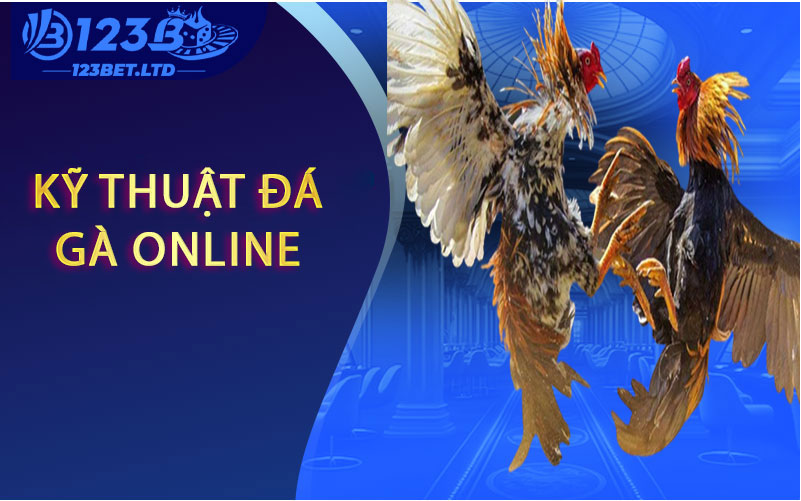 Kỹ thuật đá gà online